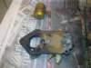 image3635_small.jpg