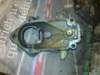 image3638_small.jpg