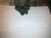 image3645_small.jpg