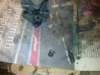 image3646_small.jpg