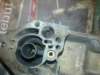 image3652_small.jpg
