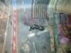 image3658_small.jpg