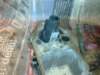 image3660_small.jpg
