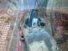 image3661_small.jpg