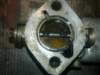 image3738_small.jpg