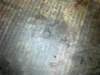 image3762_small.jpg