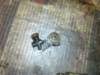 image3765_small.jpg