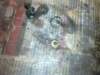 image3768_small.jpg