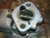 image3770_small.jpg