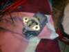 image3884_small.jpg