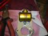 image3897_small.jpg