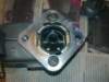 image3937_small.jpg