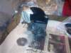 image3941_small.jpg