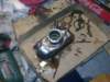 image3954_small.jpg