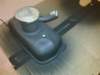 image3966_small.jpg