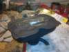 image3980_small.jpg