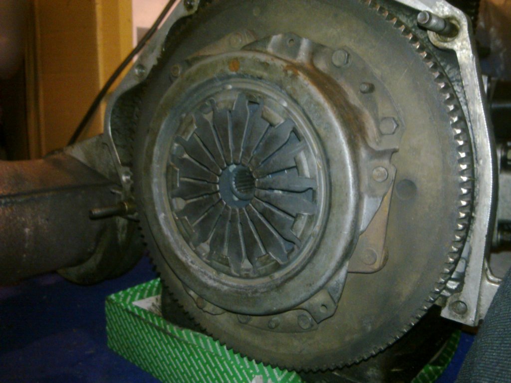 image4000.jpg