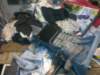 image4022_small.jpg