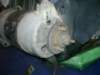 image4071_small.jpg