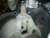 image4072_small.jpg
