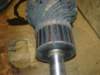 image4136_small.jpg