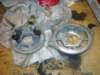image4138_small.jpg