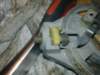 image4171_small.jpg
