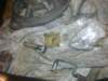 image4181_small.jpg