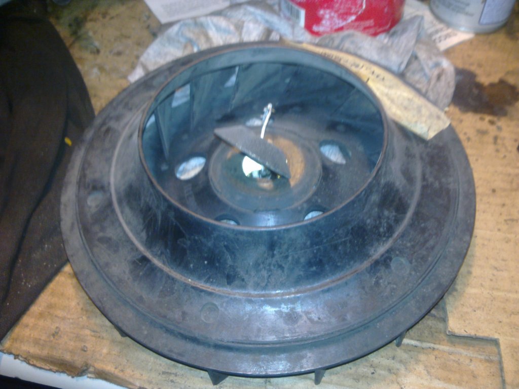 image4202.jpg