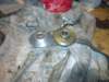 image4210_small.jpg