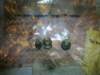 image4262_small.jpg
