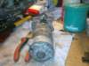 image4346_small.jpg