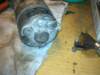 image4368_small.jpg