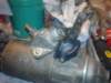 image4458_small.jpg