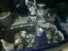 image4589_small.jpg
