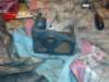 image4714_small.jpg