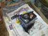 image4730_small.jpg