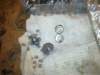 image4752_small.jpg