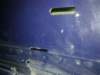 image4757_small.jpg