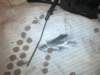 image4777_small.jpg