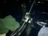 image4807_small.jpg