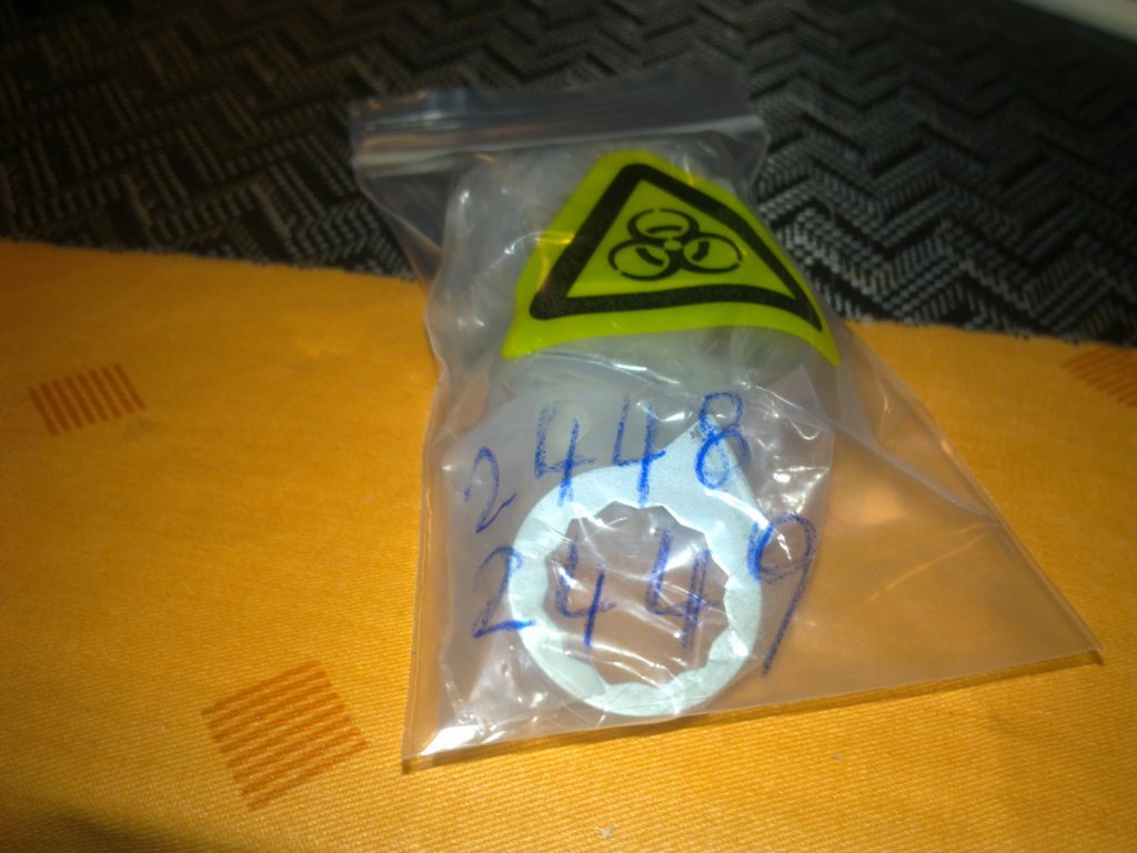 photo28.jpg