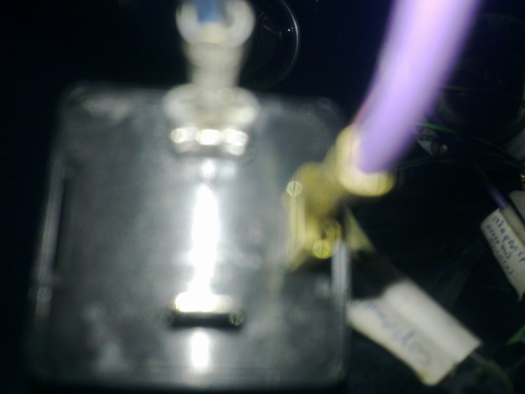 photo16.jpg