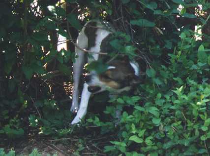 [Grrr, I'm stuck!]