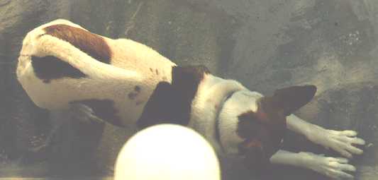 [Let's wake up, now!]