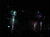 DSC00019.JPG