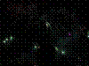 DSC00041.JPG