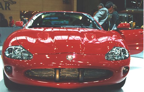 [jaguar3]