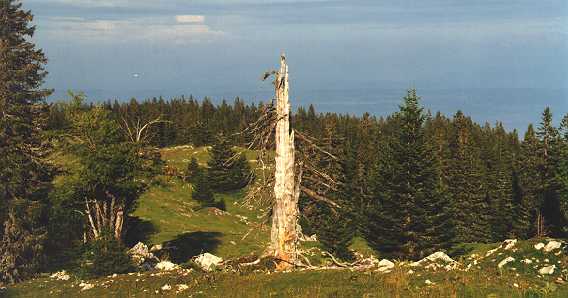 [A specific view 1.]
