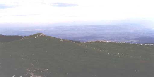 [A general view 1.]